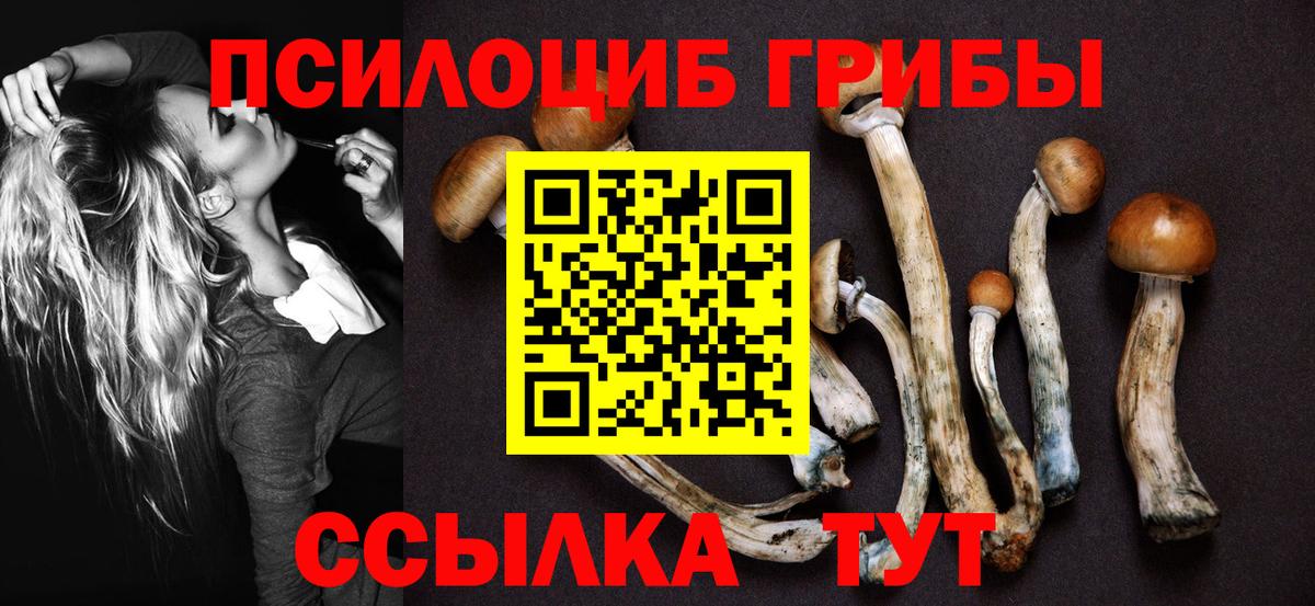 Псилоцибиновые грибы Magic Shrooms  Вход с VPN  Тверь 