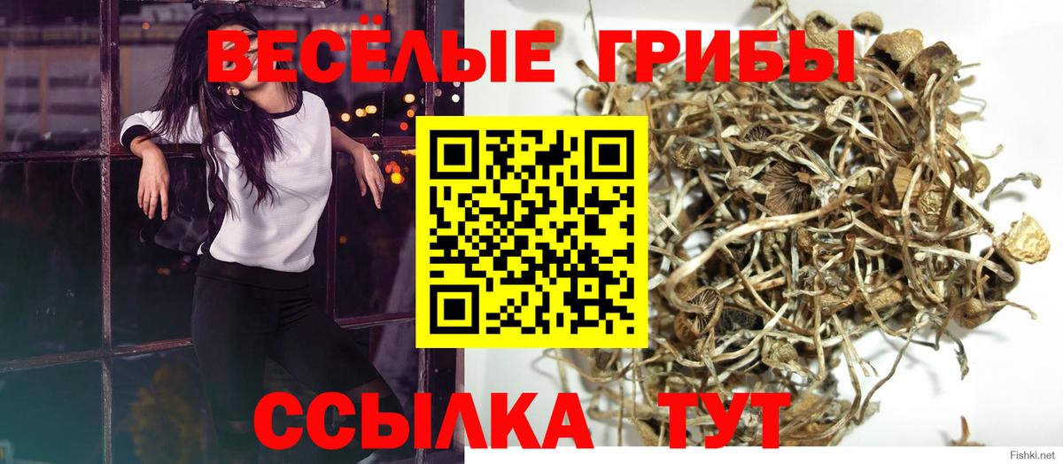 Галлюциногенные грибы Magic Shrooms Тверь